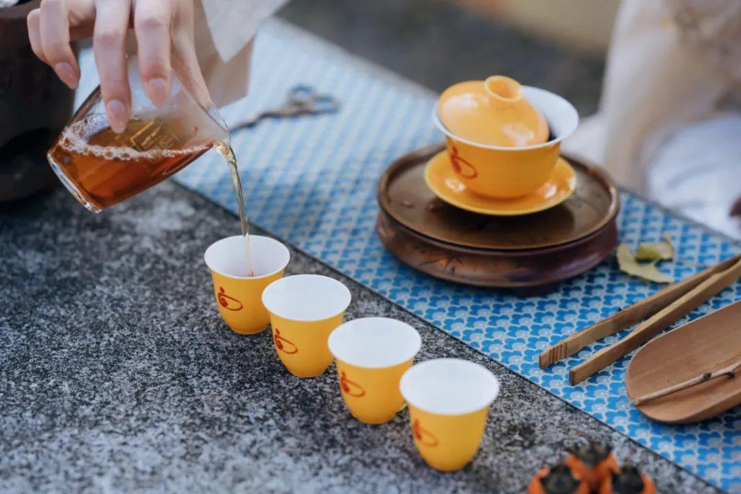 茶园风景